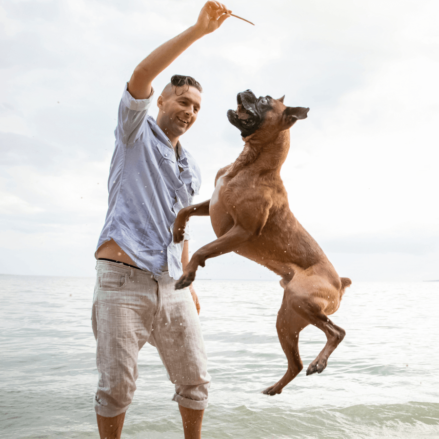 A person playing with a dog near the water, highlighting a playful and engaging pet sitting or dog walking scenario.