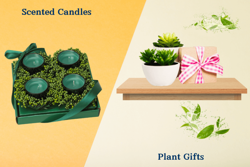 An image displaying two gift ideas: Scented Candles arranged decoratively with foliage and ribbons, and Plant Gifts with small potted succulents and a gift box.